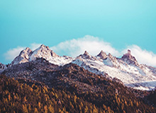 九游体育app的多平台支持-星空体育官方网站:打造全新体育体验的先锋平台